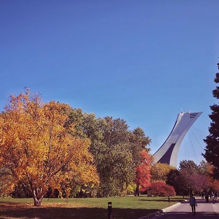 HoMa Homestay Hôtel by Olympic Stadium! Montréal Extérieur photo