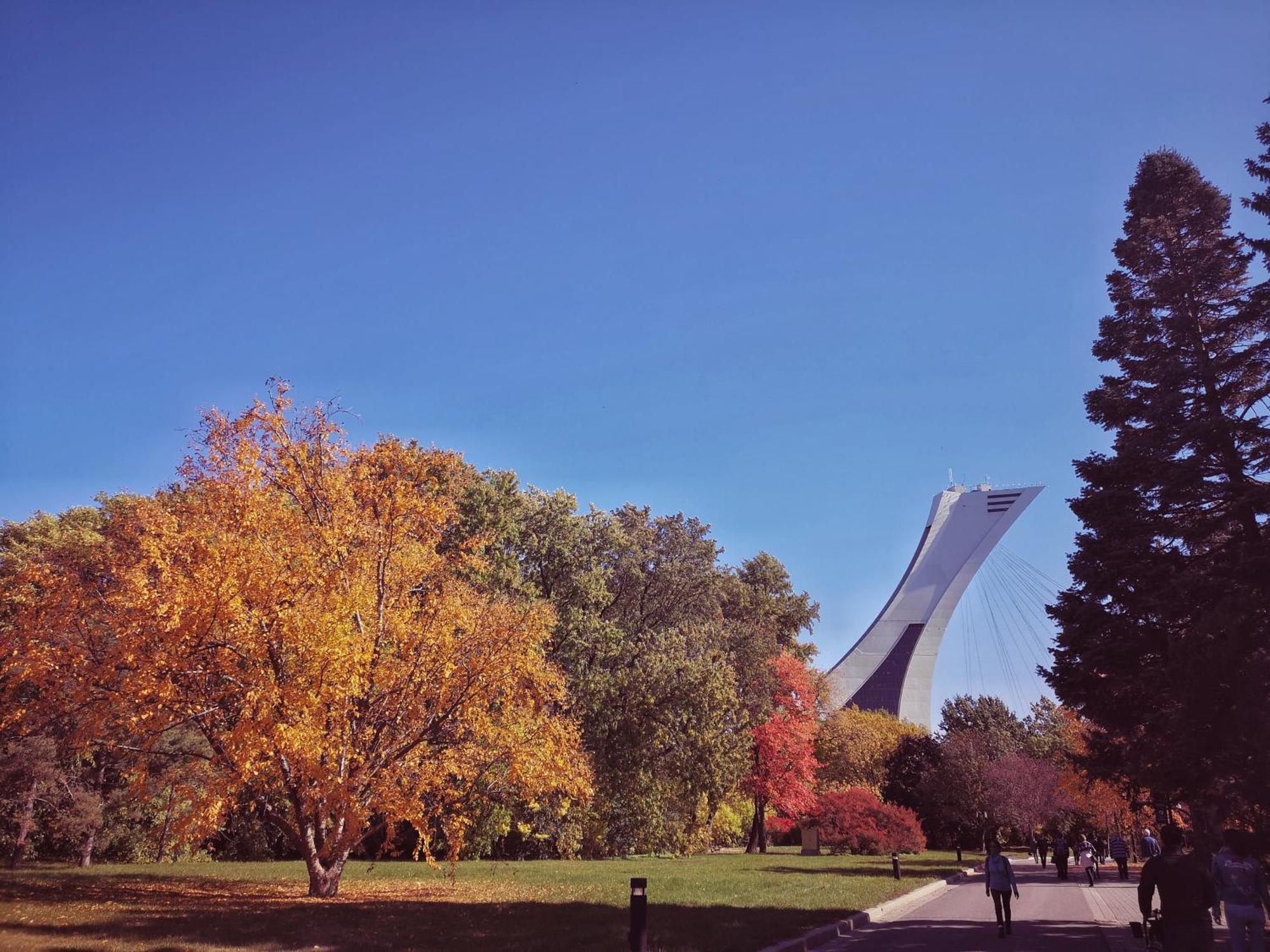 HoMa Homestay Hôtel by Olympic Stadium! Montréal Extérieur photo